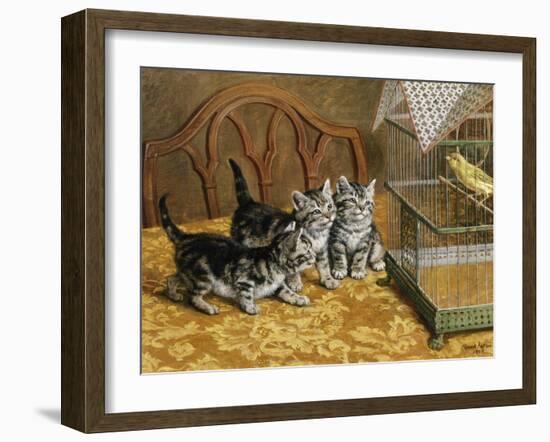 Captivated-Frank Paton-Framed Giclee Print