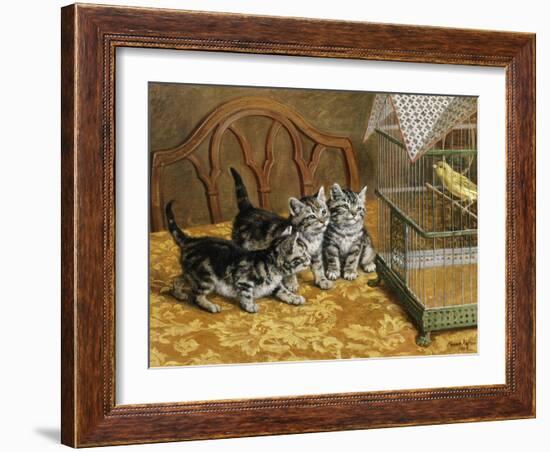 Captivated-Frank Paton-Framed Giclee Print