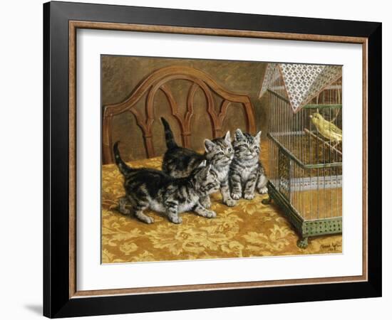 Captivated-Frank Paton-Framed Giclee Print