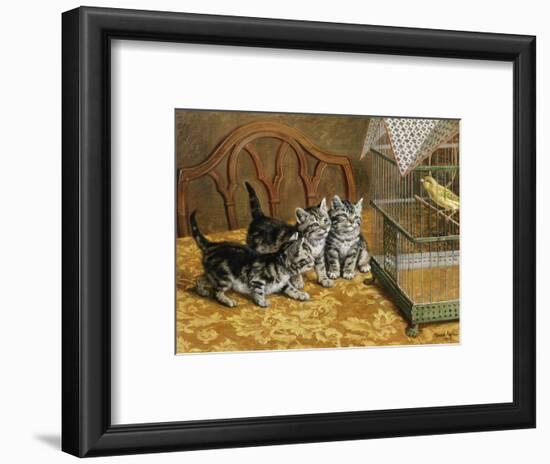 Captivated-Frank Paton-Framed Premium Giclee Print