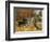 Captivated-Frank Paton-Framed Premium Giclee Print