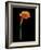 Captivating Calla III-Nancy Slocum-Framed Art Print