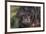 Captive adult Monk saki (Pithecia monachus), San Francisco Village, Loreto, Peru, South America-Michael Nolan-Framed Photographic Print