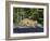 Captive Mountain Lion Crossing a Stream, Minnesota Wildlife Connection, Minnesota, USA-James Hager-Framed Photographic Print