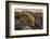 Captive Ringtail (Bassariscus Astutus) at Sunset, Arizona Sonora Desert Museum, Tucson, Arizona-Michael Nolan-Framed Photographic Print