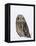 Captive Short-Eared Owl (Asio Flammeus) in the Snow, Boulder County, Colorado-James Hager-Framed Premier Image Canvas