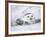 Captive Snowy Owl (Nictea Scandiaca)-Steve & Ann Toon-Framed Photographic Print