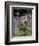 Captive Tawny Owl (Strix Aluco) in Bluebells, United Kingdom-Steve & Ann Toon-Framed Photographic Print