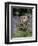 Captive Tawny Owl (Strix Aluco) in Bluebells, United Kingdom-Steve & Ann Toon-Framed Photographic Print