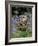 Captive Tawny Owl (Strix Aluco) in Bluebells, United Kingdom-Steve & Ann Toon-Framed Photographic Print