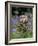 Captive Tawny Owl (Strix Aluco) in Bluebells, United Kingdom-Steve & Ann Toon-Framed Photographic Print