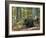 Captive Wild Boars in Autumn Beech Forest, Germany-Philippe Clement-Framed Photographic Print