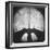 Capture German Lenses-Andreas Feininger-Framed Photographic Print