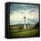 Capture-Craig Roberts-Framed Premier Image Canvas