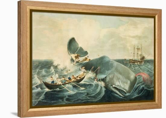 Capturing a Sperm Whale, Engraved by J. Hill, Published 1835-William Page-Framed Premier Image Canvas