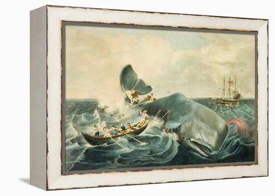 Capturing a Sperm Whale, Engraved by J. Hill, Published 1835-William Page-Framed Premier Image Canvas