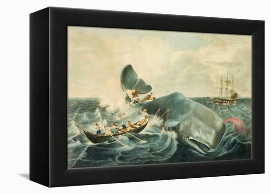 Capturing a Sperm Whale, Engraved by J. Hill, Published 1835-William Page-Framed Premier Image Canvas