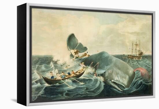 Capturing a Sperm Whale, Engraved by J. Hill, Published 1835-William Page-Framed Premier Image Canvas