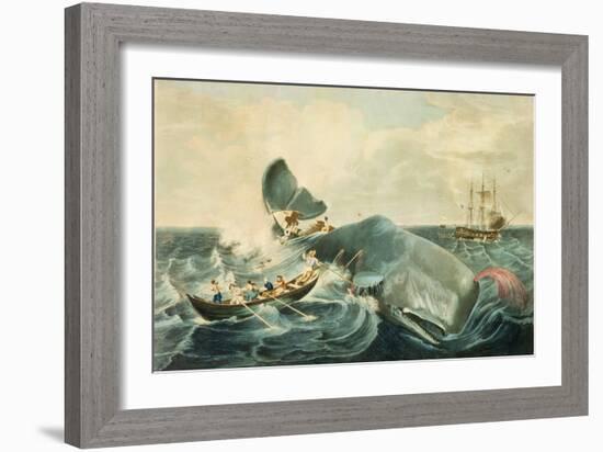 Capturing a Sperm Whale, Engraved by J. Hill, Published 1835-William Page-Framed Giclee Print