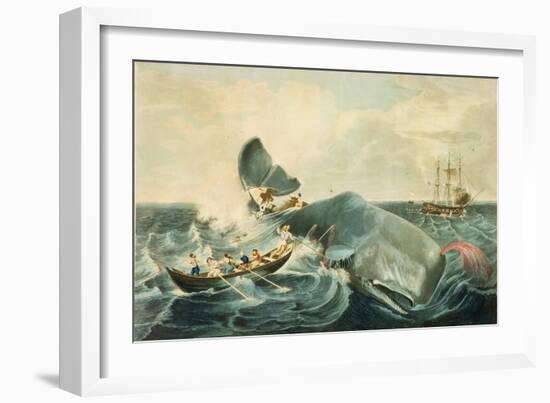 Capturing a Sperm Whale, Engraved by J. Hill, Published 1835-William Page-Framed Giclee Print