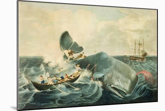 Capturing a Sperm Whale, Engraved by J. Hill, Published 1835-William Page-Mounted Giclee Print