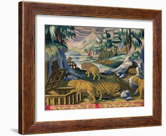 Capturing Leopards, Plate 15 from Venationes Ferarum, Avium, Piscium-Jan van der Straet-Framed Giclee Print