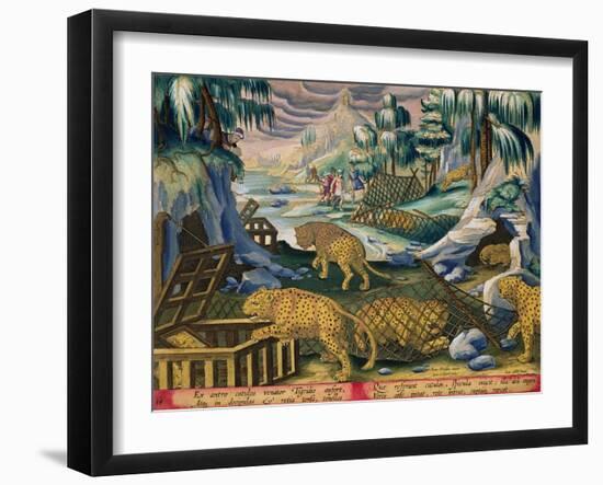 Capturing Leopards, Plate 15 from Venationes Ferarum, Avium, Piscium-Jan van der Straet-Framed Giclee Print