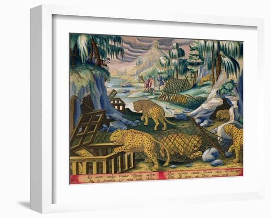 Capturing Leopards, Plate 15 from Venationes Ferarum, Avium, Piscium-Jan van der Straet-Framed Giclee Print