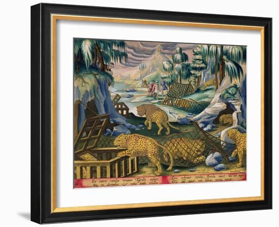 Capturing Leopards, Plate 15 from Venationes Ferarum, Avium, Piscium-Jan van der Straet-Framed Giclee Print