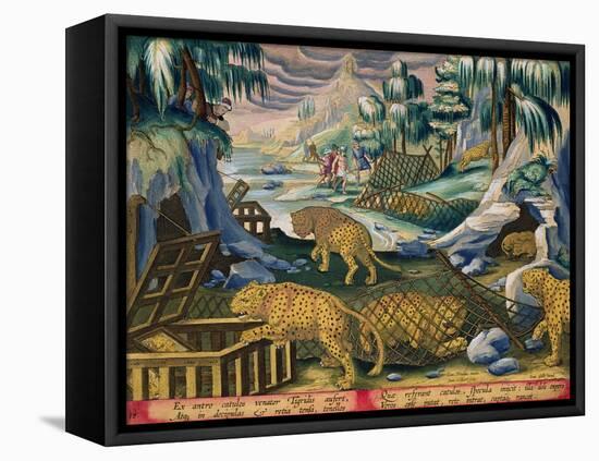 Capturing Leopards, Plate 15 from Venationes Ferarum, Avium, Piscium-Jan van der Straet-Framed Premier Image Canvas