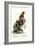 Capuchin, 1824-Karl Joseph Brodtmann-Framed Giclee Print