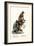 Capuchin, 1824-Karl Joseph Brodtmann-Framed Giclee Print