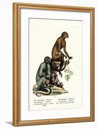 Capuchin, 1824-Karl Joseph Brodtmann-Framed Giclee Print