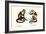 Capuchin Monkey, 1824-Karl Joseph Brodtmann-Framed Giclee Print