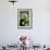 Capuchin Monkey I-Larry Malvin-Framed Photographic Print displayed on a wall