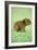Capybara Baby, on Grass-null-Framed Photographic Print