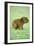 Capybara Baby, on Grass-null-Framed Photographic Print