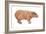 Capybara (Hydrochoerus Capybara), Mammals-Encyclopaedia Britannica-Framed Art Print