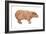 Capybara (Hydrochoerus Capybara), Mammals-Encyclopaedia Britannica-Framed Art Print
