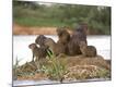 Photographic Print