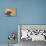 Capybara (Hydrochoerus Hydrochaeris) Swimming, Pantanal Wetlands, Brazil-null-Photographic Print displayed on a wall