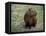 Capybara, South America-Art Wolfe-Framed Premier Image Canvas