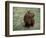 Capybara, South America-Art Wolfe-Framed Photographic Print