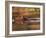 Capybara Swimming, Pantanal, Brazil-Pete Oxford-Framed Photographic Print