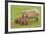 Capybara with Young-null-Framed Photographic Print