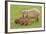 Capybara with Young-null-Framed Photographic Print