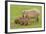 Capybara with Young-null-Framed Photographic Print