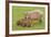Capybara with Young-null-Framed Photographic Print