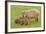 Capybara with Young-null-Framed Photographic Print