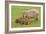 Capybara with Young-null-Framed Photographic Print